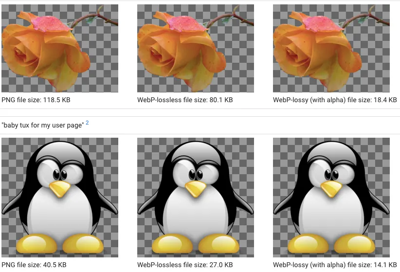 JPG WEBP